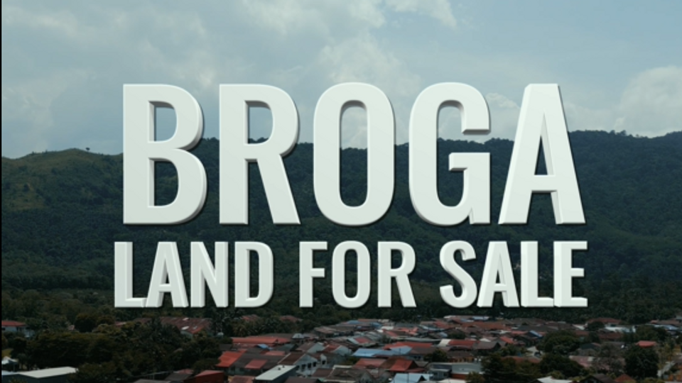 Broga Land